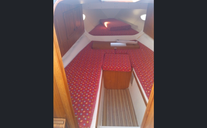 Flipper Flying Flipper GT32-kuva-3